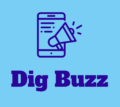 dig buzz.in